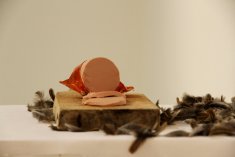 IMG 0620